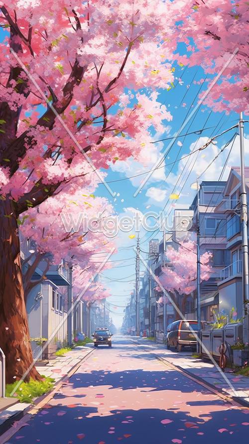 Cena de rua em flor de cerejeira