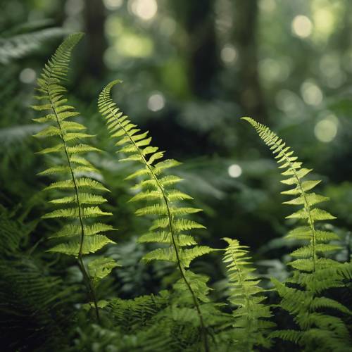 Metallic ferns unfurling in the hushed depth of a rainforest. Tapet [4ae8cc61b8254eb49a0b]