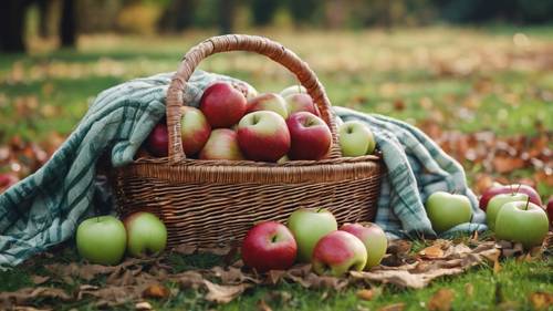 Przepełniony wiklinowy kosz wypełniony świeżo zebranymi czerwonymi i zielonymi jabłkami, w pobliżu rozłożony koc piknikowy.