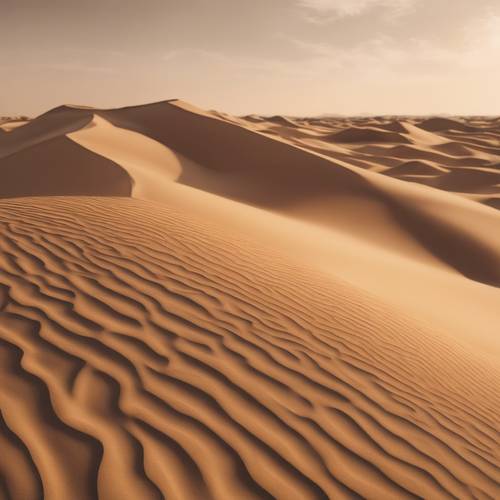 Un color bronceado uniforme inspirado en las dunas del desierto.