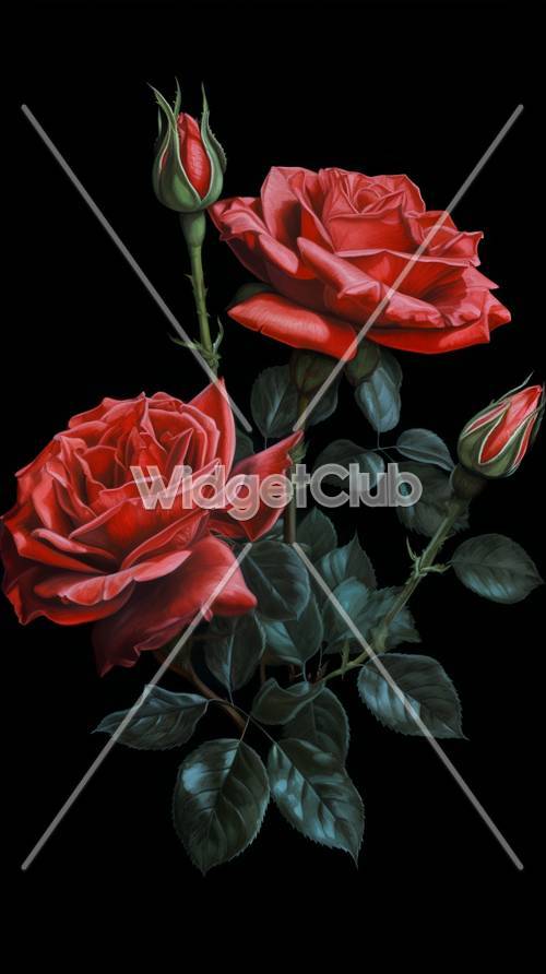 Rote Rosen auf schwarzem Hintergrund