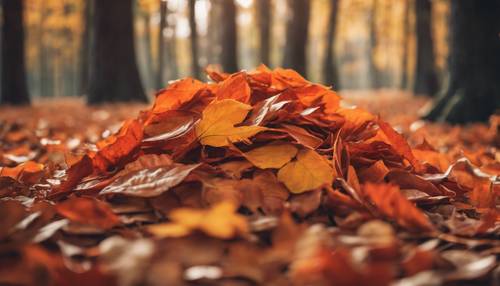 Setumpuk daun musim gugur oranye terang dalam suasana hutan alami
