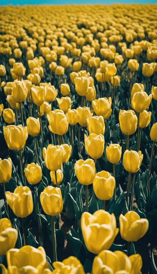 Um campo de tulipas amarelo neon balançando suavemente sob um céu azul claro.