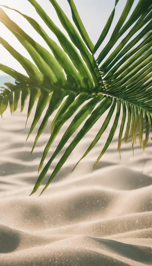 兩片生機勃勃的綠色棕櫚葉在柔軟的沙灘背景下交叉在中心。