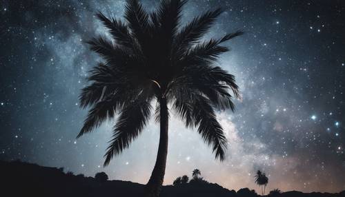 Art surréaliste représentant un palmier sombre se fondant dans le ciel étoilé sombre tout autour.