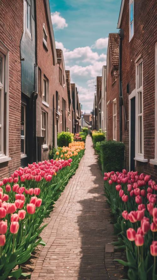 A narrow alleyway in a Dutch town with vibrant tulip fields in the distance.