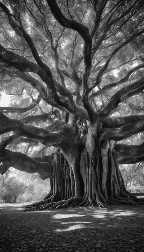 עץ בניאן עתיק עם שורשים רחבי ידיים וענפים גדולים, מעובד אמנותי בשחור ולבן.