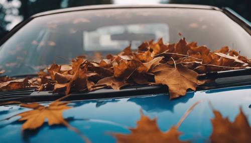 Braune Herbstblätter verstreut auf der Windschutzscheibe eines blauen Autos.