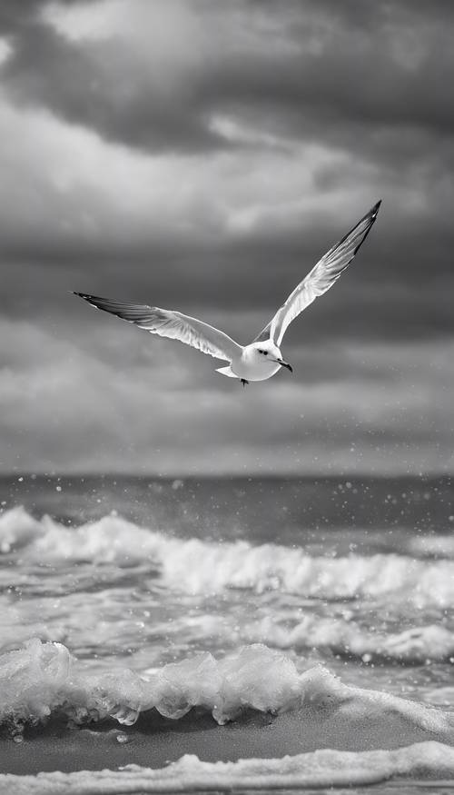 Dalgalı, fırtınalı denizlerde uçan tek bir martıyı gösteren siyah beyaz bir plaj manzarası.
