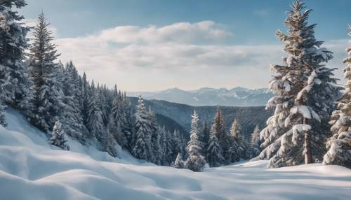 Snow-covered fir trees on a winter mountain slope against a blue sky.