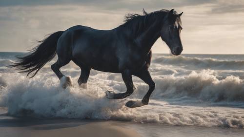 Um lindo cavalo preto galopando em uma praia ventosa com as ondas quebrando ao fundo.