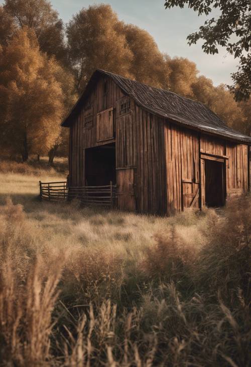 Eine rustikale Holzscheune mit brauner, strukturierter Außenfassade, inmitten ländlicher Felder.