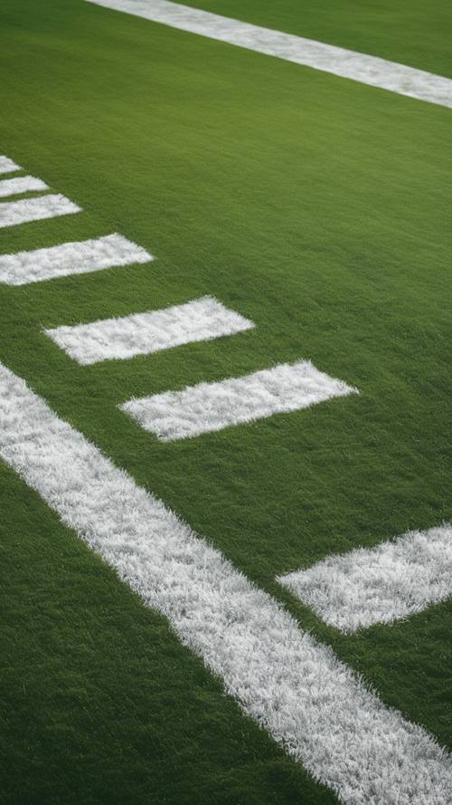 Футбольное поле с тщательно нарисованными белыми полосами на зеленой траве.