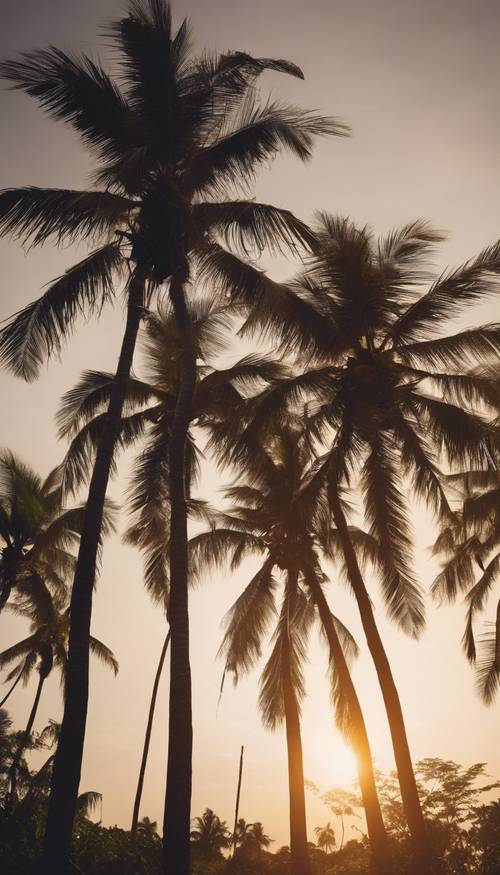 Una silueta cautivadora de cocoteros tropicales contra el sol poniente.