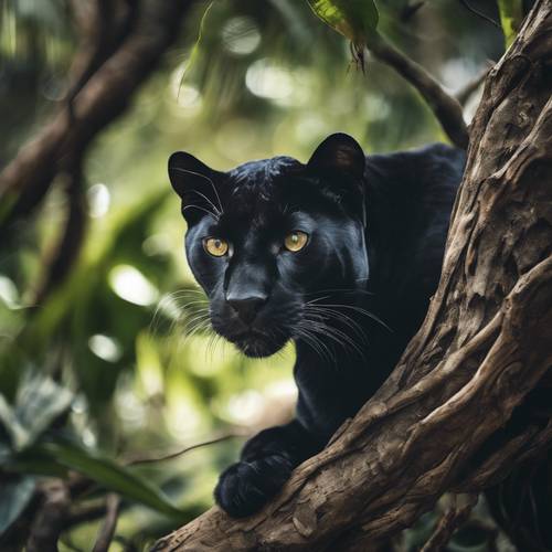 A midnight scene of a black panther styled cat, draped over a gnarled tree branch, deep in the jungle.