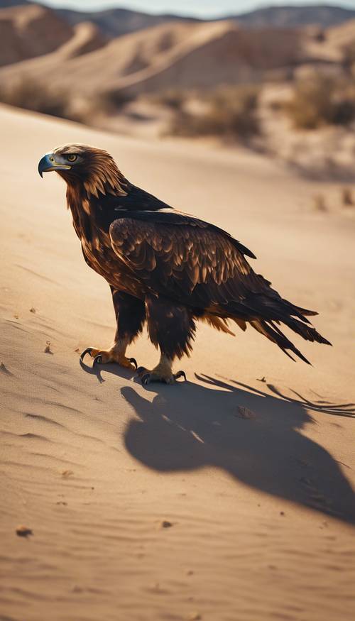 Hình minh họa một con đại bàng vàng đang khom lưng truy đuổi con mồi trên sa mạc.