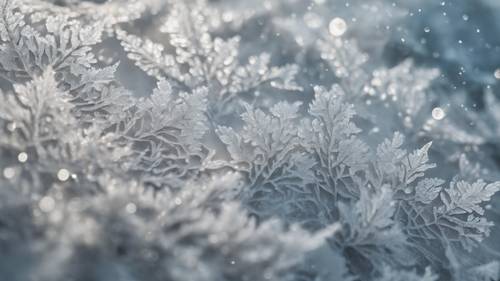 A macro-shot of intricate frost patterns on a window. A Frost's quote about the beauty in details overlays the image in a beautiful white script. Tapet [e44e1bb07eb941e3a572]