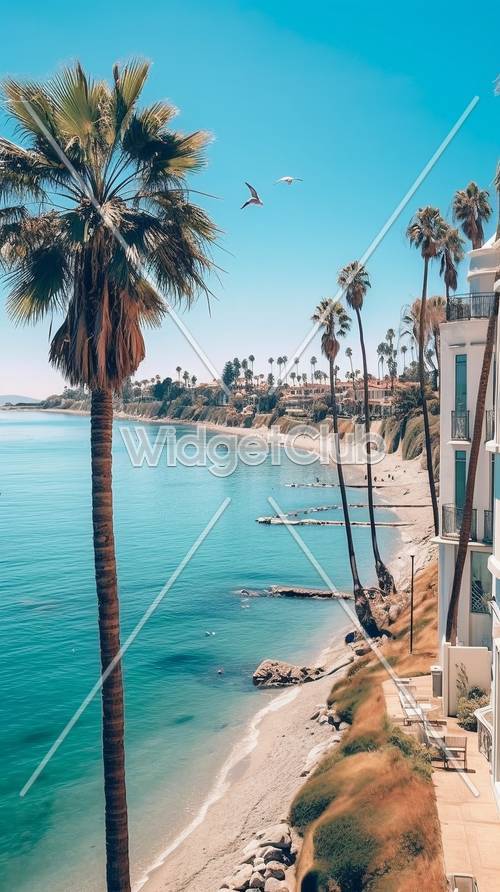 Día soleado de playa con agua azul y palmeras