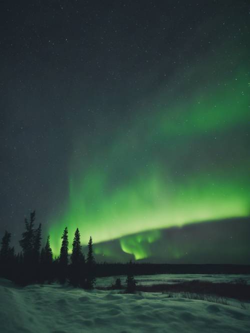 밤하늘에 춤추는 짙은 녹색 북극광의 무리.
