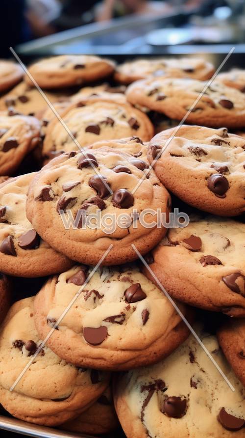 チョコチップクッキーのアップクローズアップ