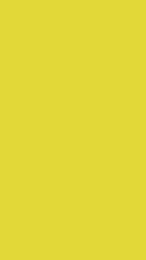Parlak Sarı Düz ​​Renkli Arka Plan duvar kağıdı [8233acb421984ef185d3]