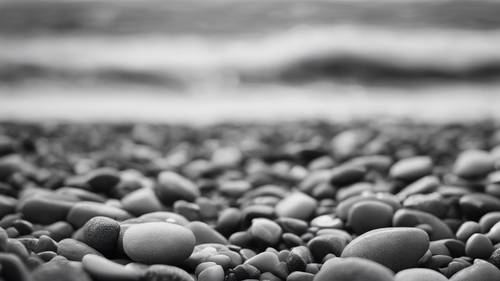 A grayscale image of a gray pebbled seashore on a calm day.