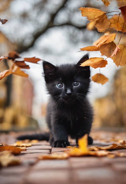 A playful black kitten with white paws, batting at falling autumn leaves on a brick path.