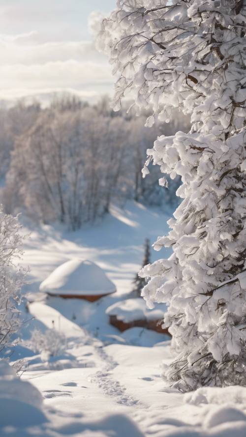 一片自然纯净的雪景，新雪中刻画着一句安心学习的话语。