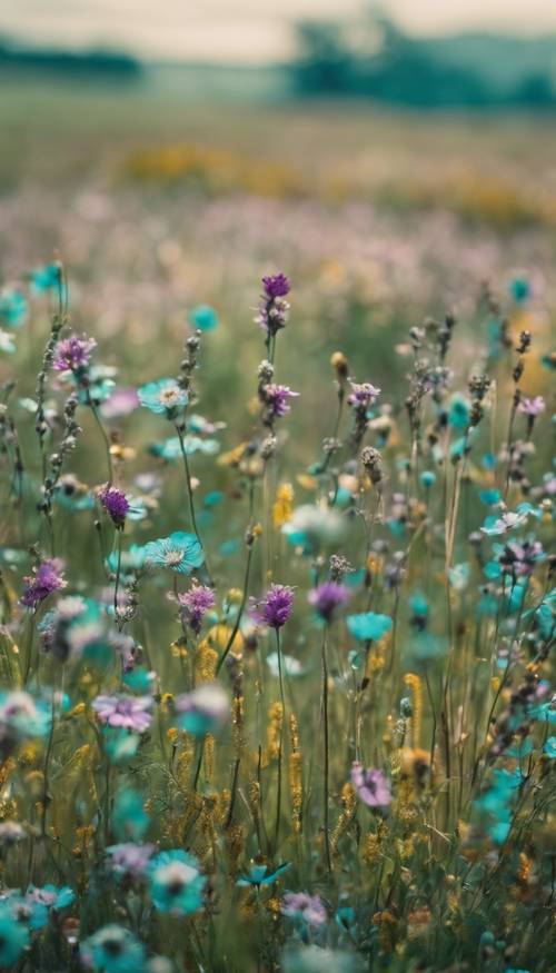 Um prado coberto de lindas flores silvestres que surpreendentemente imitam a estampa Teal Cow.