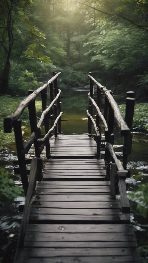 Black wooden bridge crossing over a quiet stream in a serene forest.