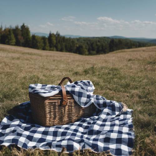 A navy blue and white checkered picnic blanket spread on a grassy hill