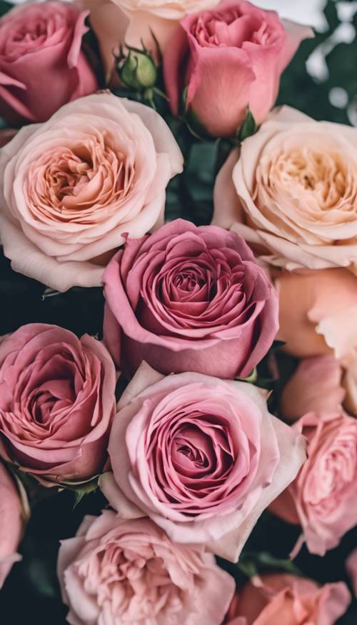 Buket besar mawar antik dalam berbagai warna merah jambu.