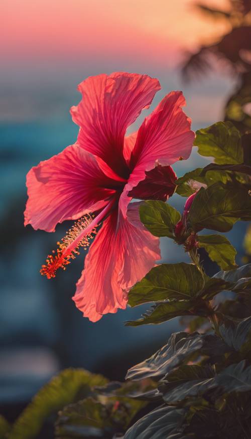 Yemyeşil, canlı bir amber çiçeği, yaprakları tropik gün batımının derin pembeleri ve kırmızılarıyla doygun, parlak mavi yaz gökyüzüne karşı.