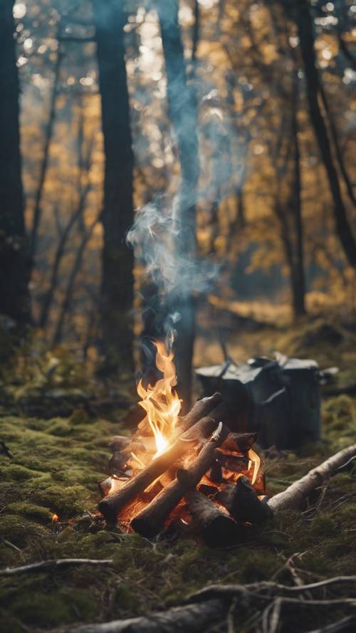 An explorer's campfire hastily abandoned, its smoke signaling potential danger. Tapeta [65a1d5580b15474c95ef]