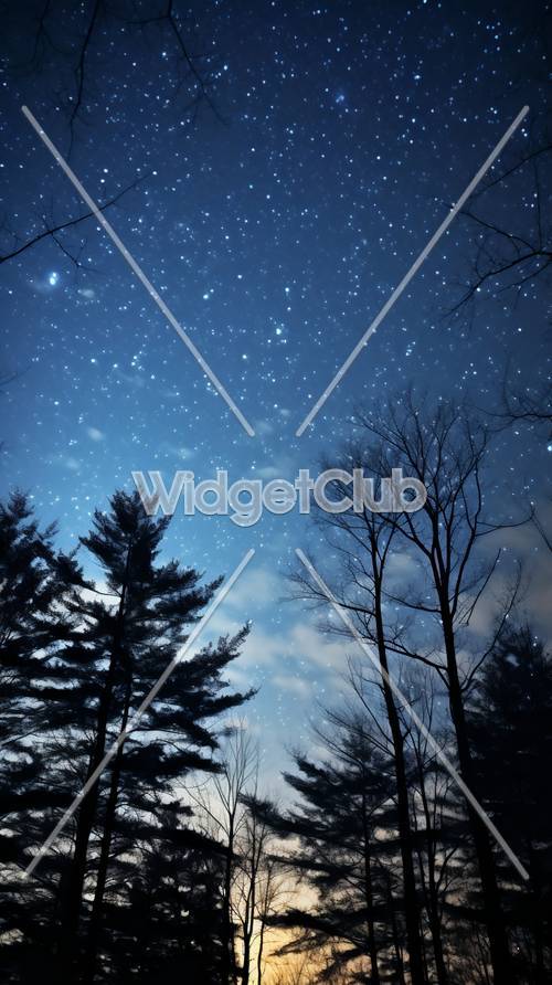 Céu noturno estrelado com silhuetas de árvores
