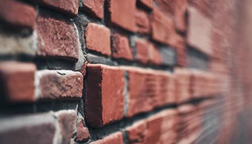 A single red brick standing out in a wall of multicolored bricks.