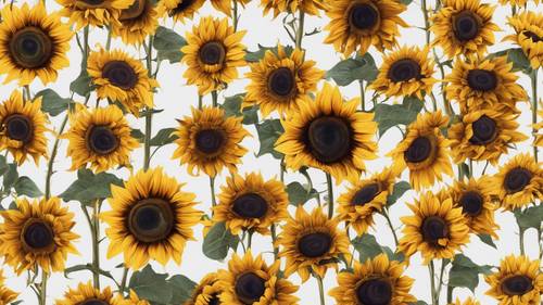 White fabric adorned with a seamless array of dark, debonair sunflowers. Tapet [27ef1d3ab63c4766bab4]