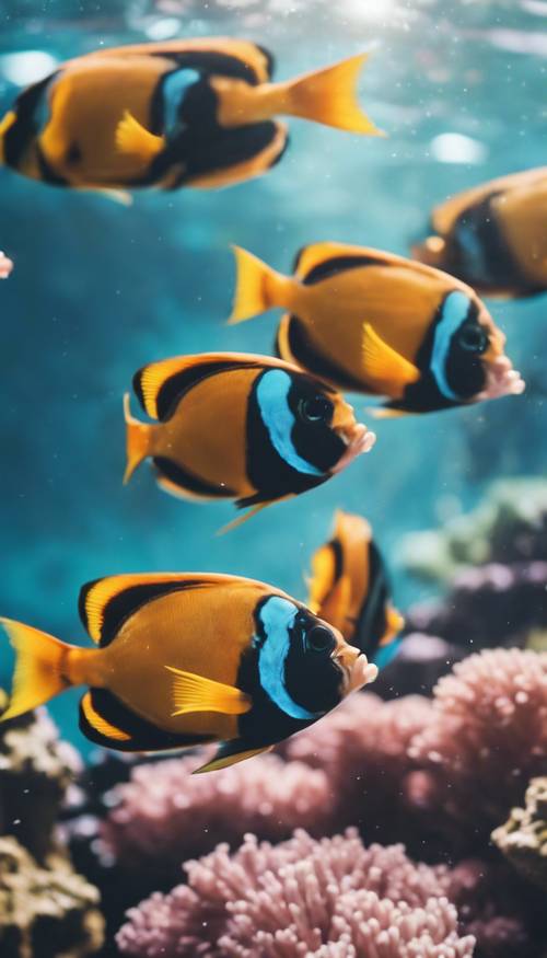 Güzel bir mercan resifinde birlikte yüzen parlak renkli tropikal balıklar