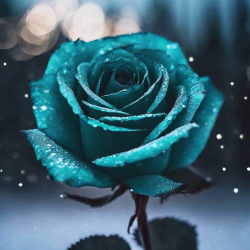 在明亮的北极光下，一朵蓝绿色的玫瑰在黑暗中闪闪发光。