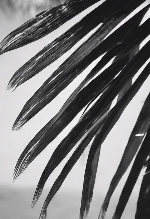 Czarno-białe zdjęcie tropikalnej sceny z pojedynczym różowym liściem palmy jako akcentem koloru.