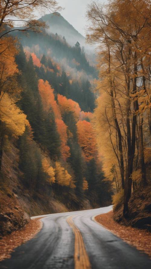 Uma estrada serena e vazia que serpenteia pela encosta de uma montanha, ladeada por árvores vestidas com trajes de outono.