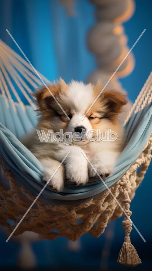 Chiot endormi dans un hamac