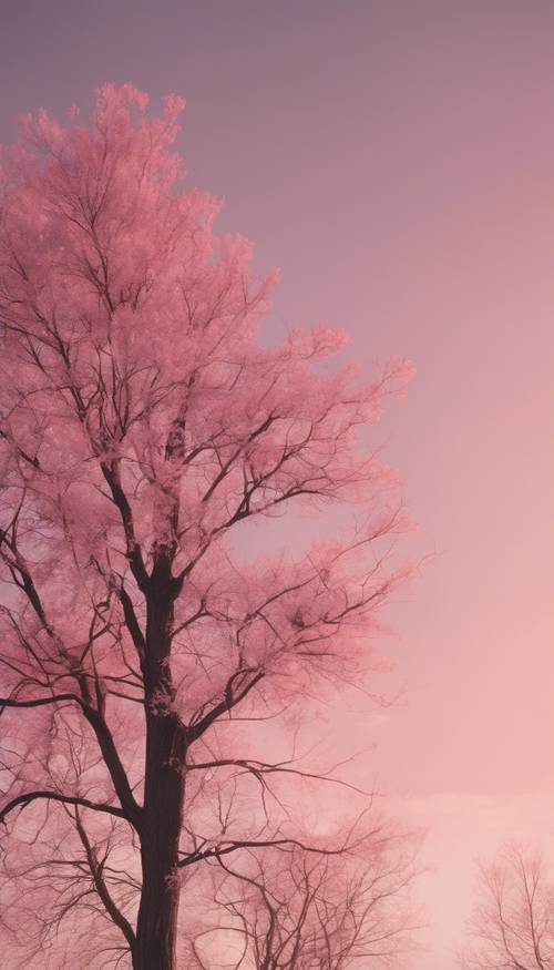 早晨的天空中呈现微妙的粉红色调渐变。