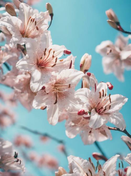 Un estampado floral oriental con delicadas flores de cerezo y lirios orientales en un tranquilo campo azul cielo.