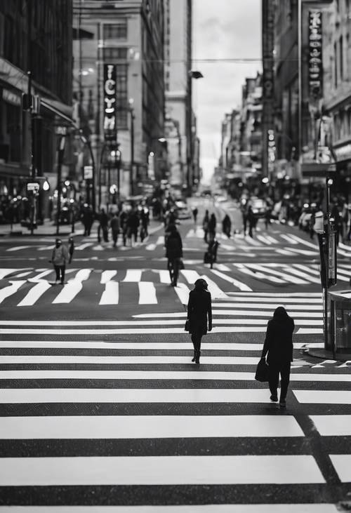 A monochrome cityscape photograph featuring a black-striped pedestrian crossing.
