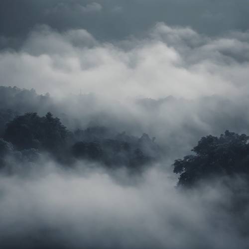 Navy backdrop with a layer of greyish-white fog ascending. ផ្ទាំង​រូបភាព [bf93b20e1d6d4ebc9c58]