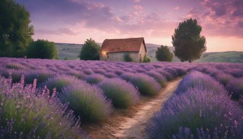 Skenario senja nostalgia di jalur pedesaan tua yang dikelilingi bunga lavender yang bermekaran.
