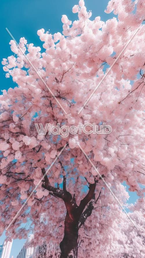 푸른 하늘 아래 분홍색 벚꽃