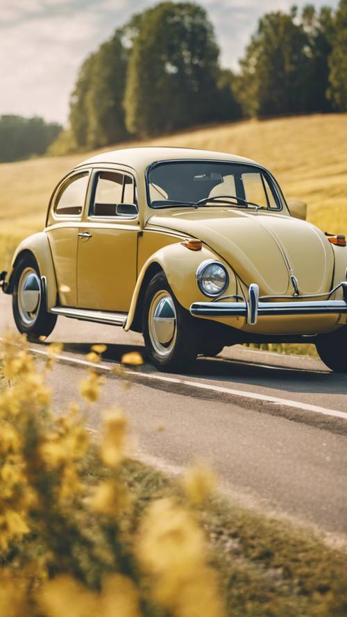 Ein alter hellgelber VW Käfer fährt eine Landstraße entlang.