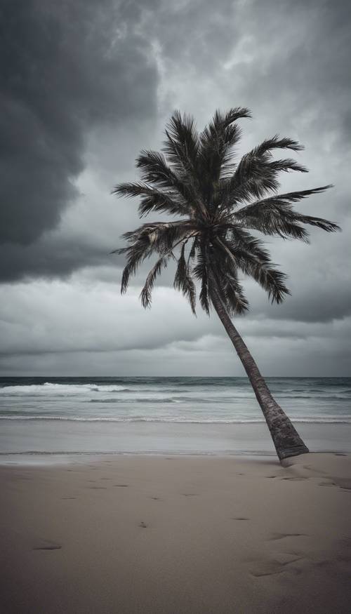 A single dark, ominous palm tree on a desolate beach under a stormy sky.